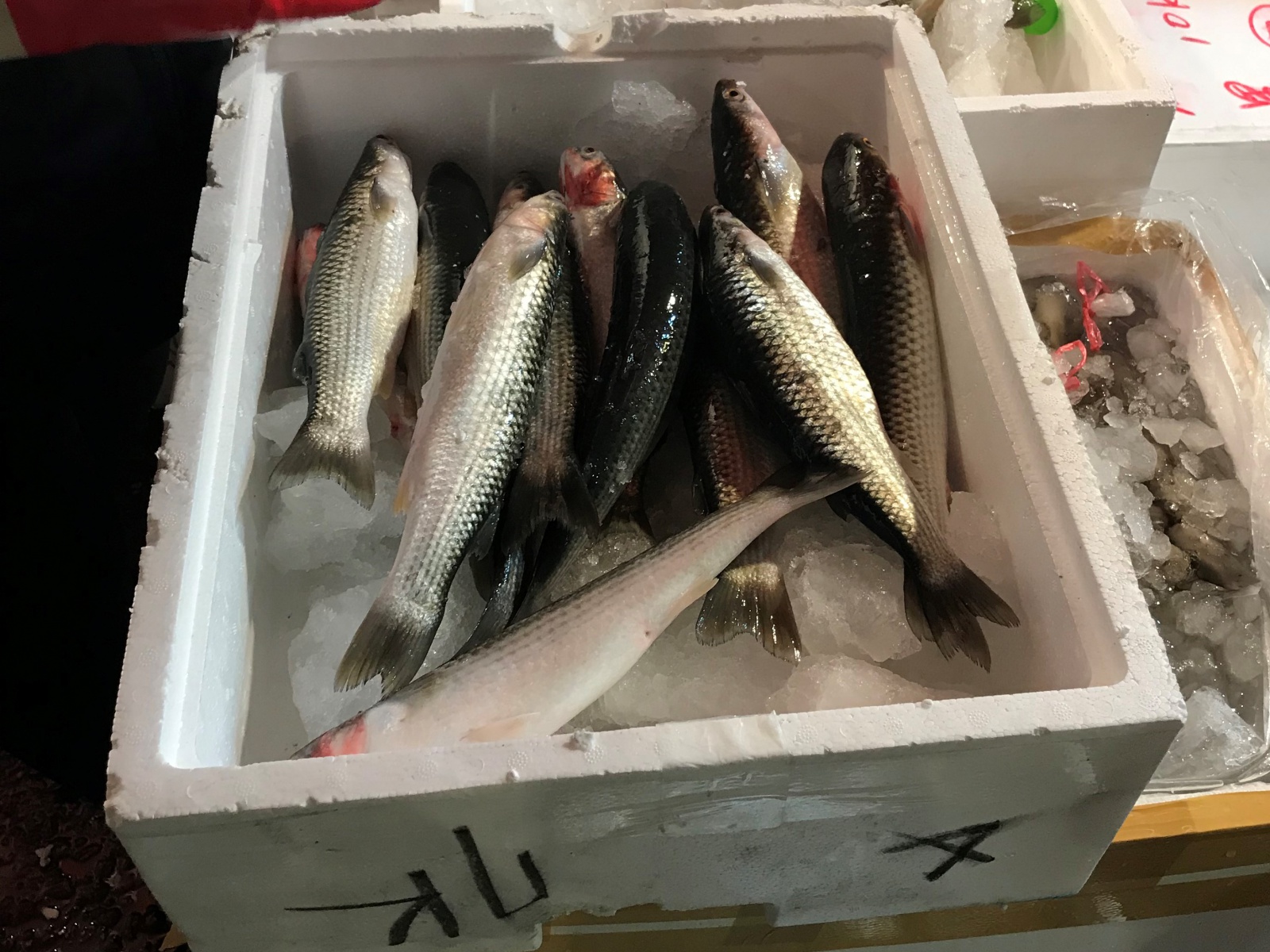 報導 來去基隆崁仔頂市場體驗一夜採購小幫手 大享食育協會 讓學校營養午餐變得更好