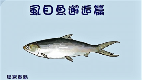 食魚更識魚u2013漁海共生高雄工作坊側記（上）  大享食育協會─讓學校營養 